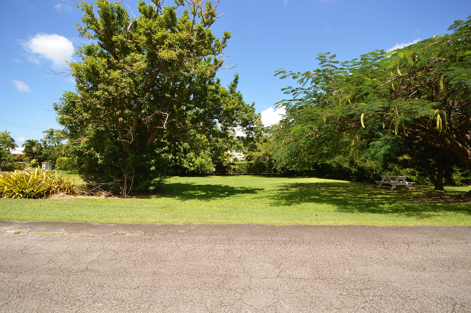 DSC 0757