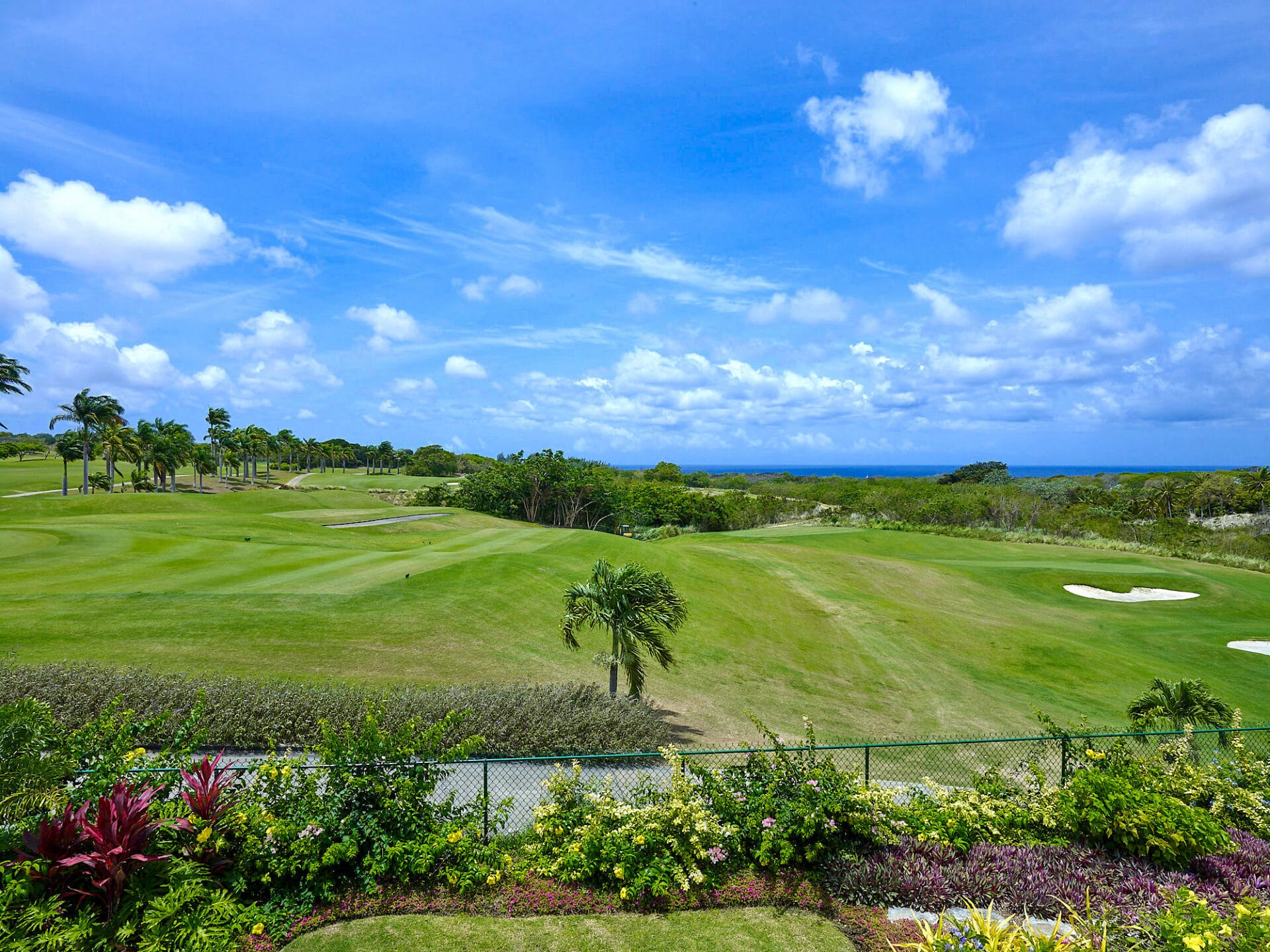 5 Sugar Cane Mews 013