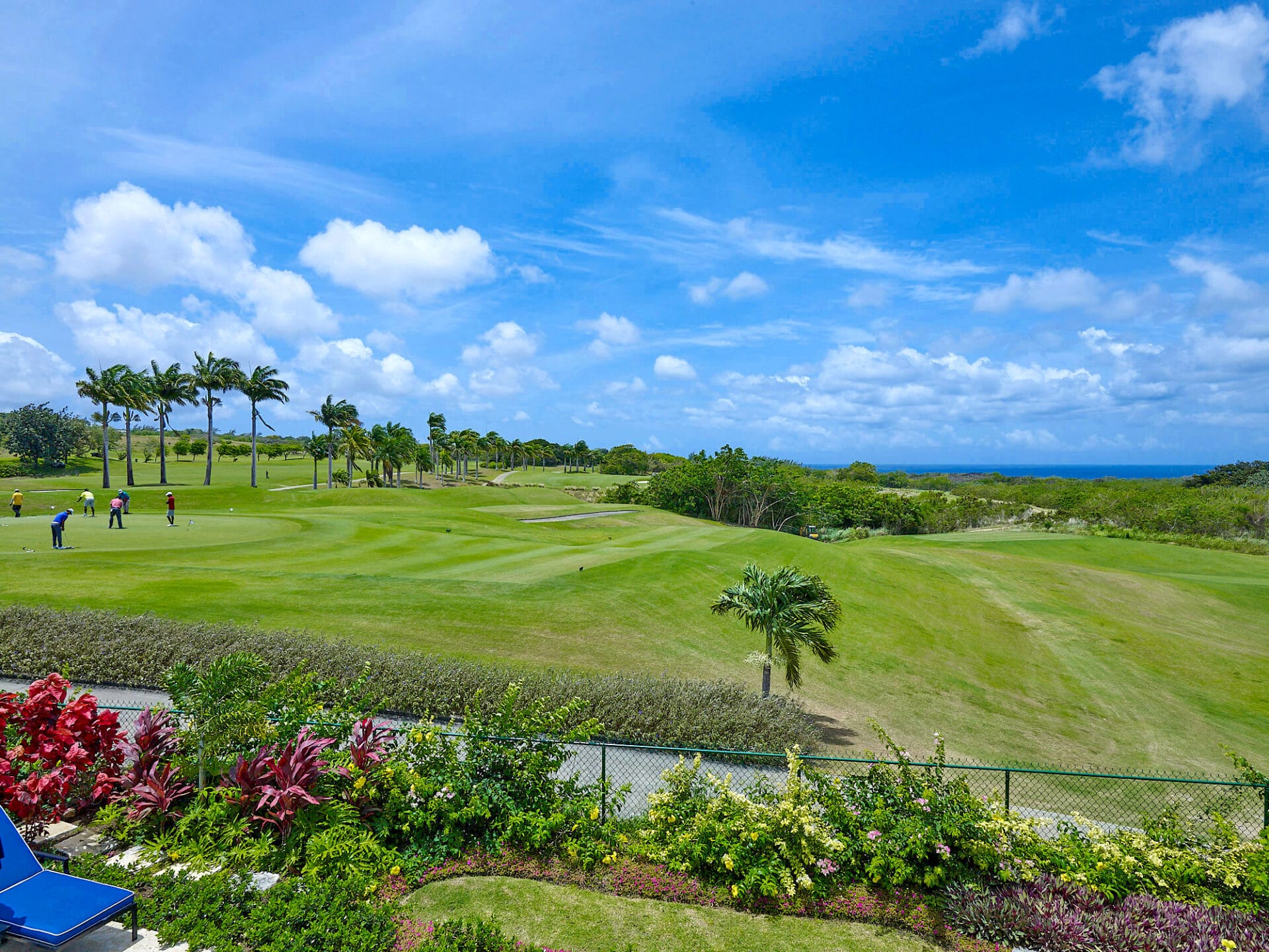 5 Sugar Cane Mews 014