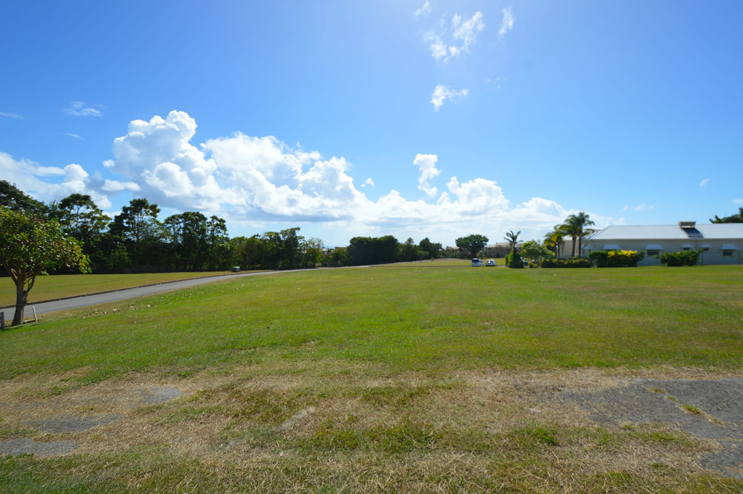 DSC 0009