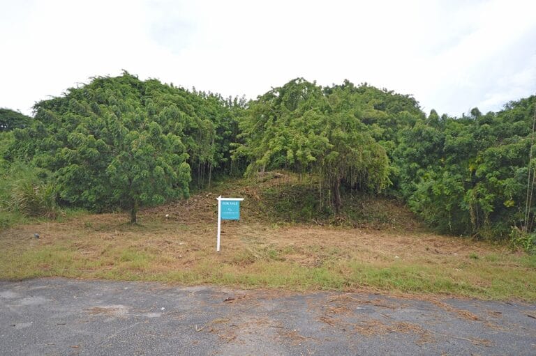 Long Beach Estate Lot 20, Chancery Lane