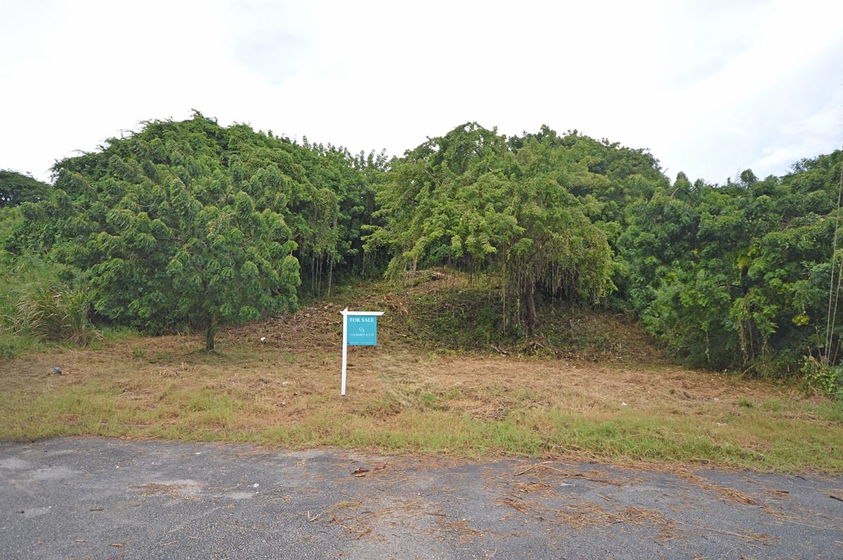 DSC 0706
