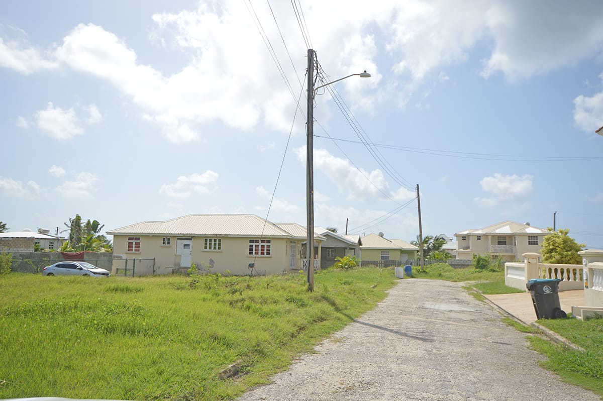 DSC 0716