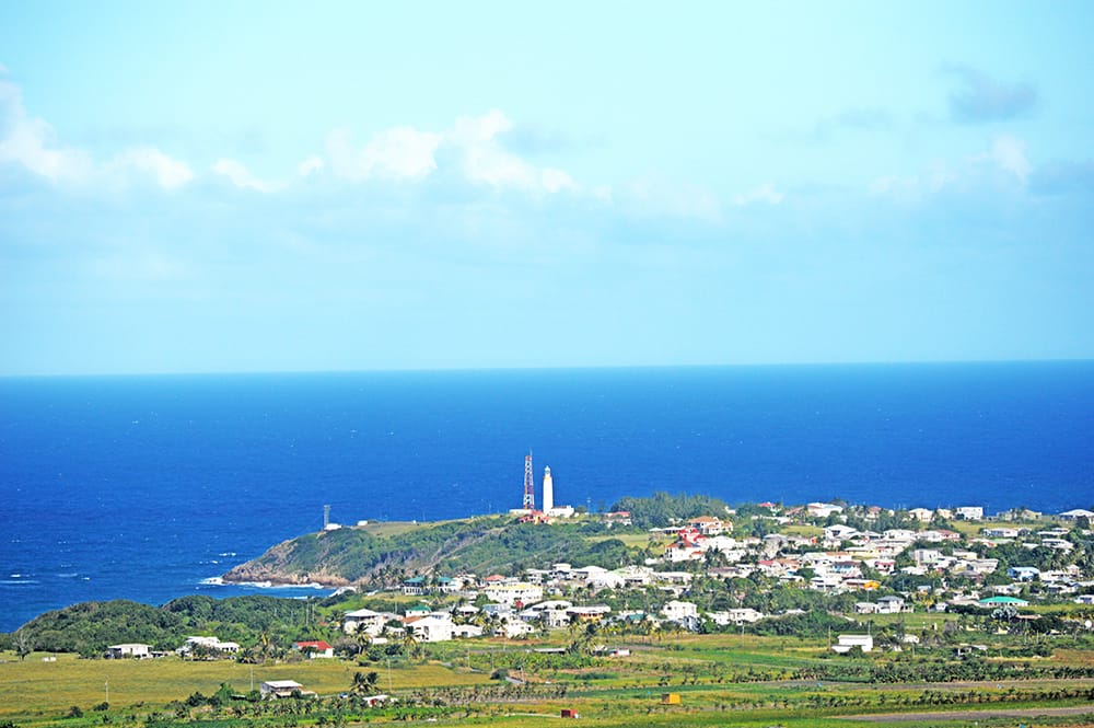DSC 0118