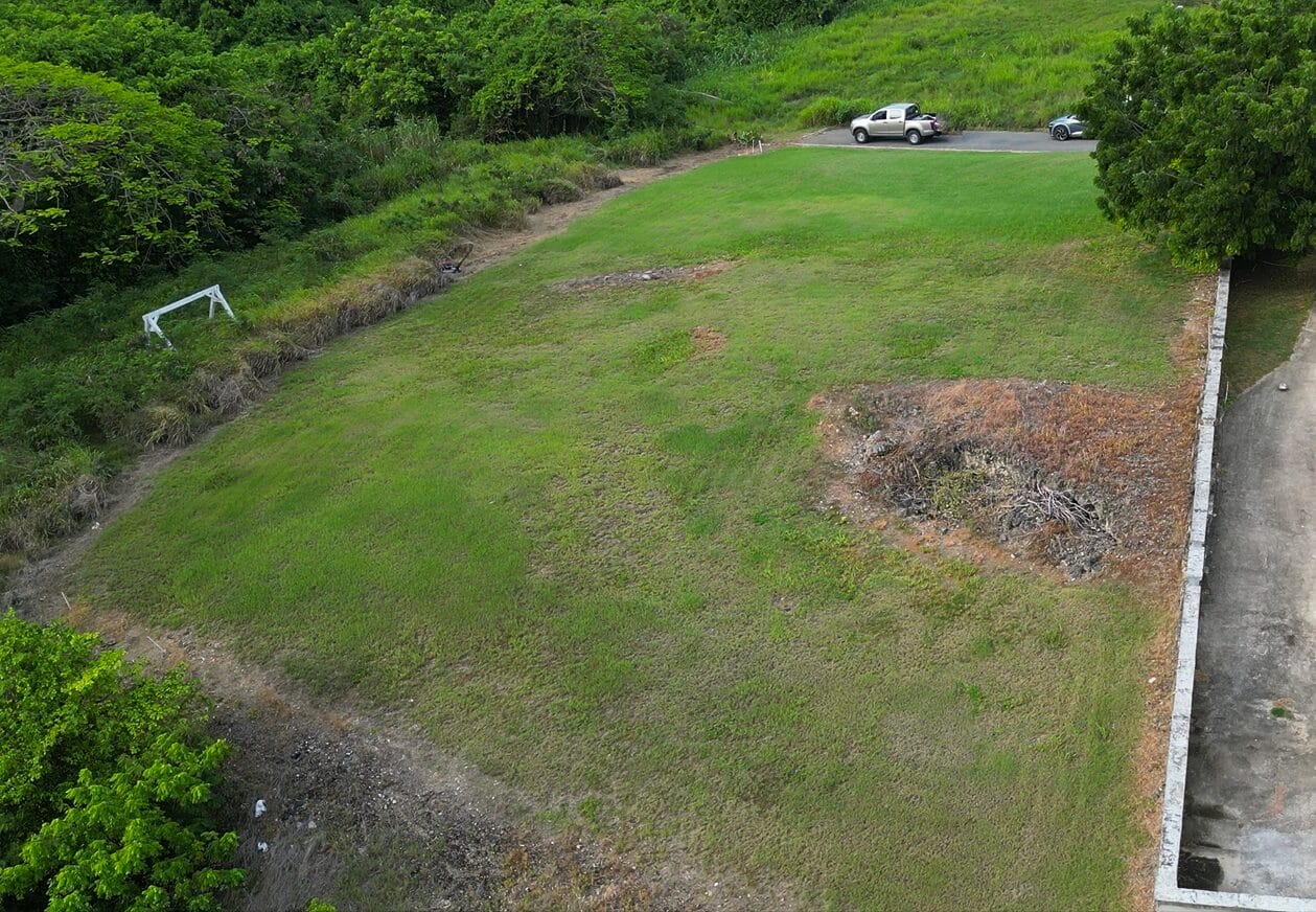 Drone Snap 1