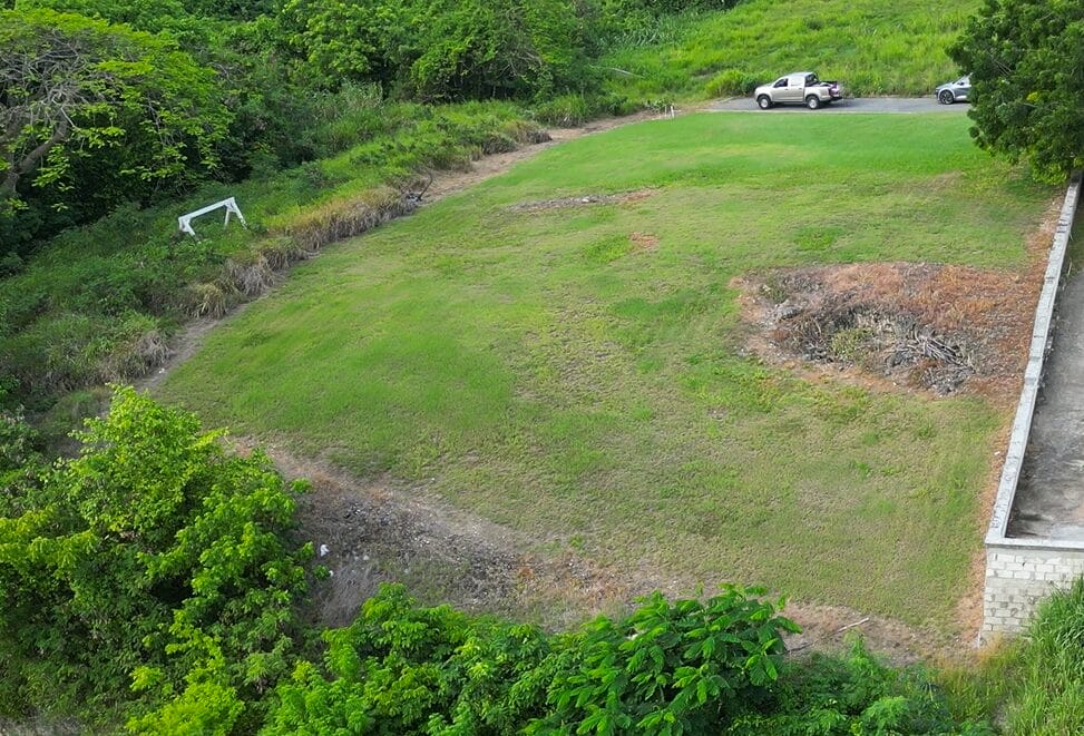 Drone Snap 2
