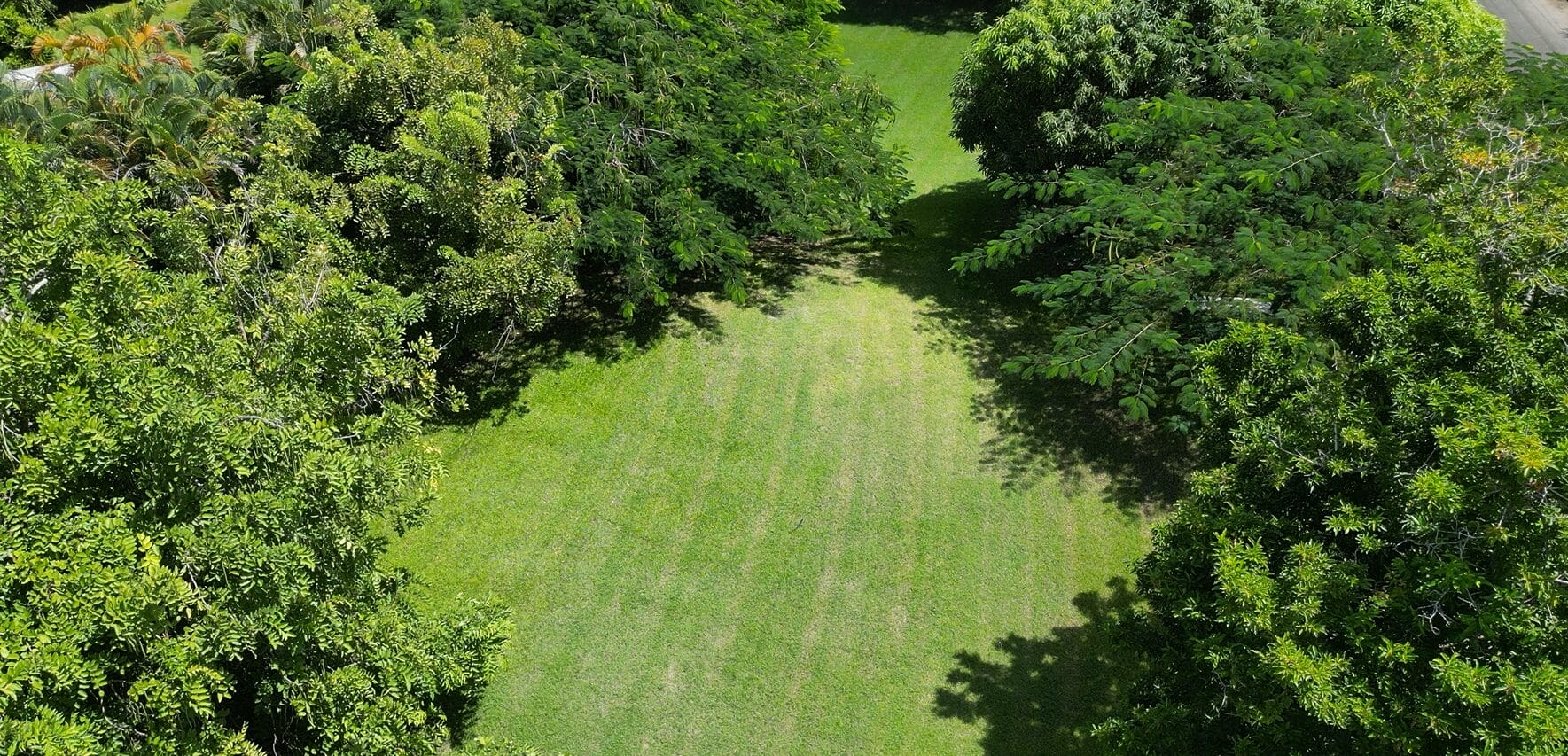 Drone Snap 3