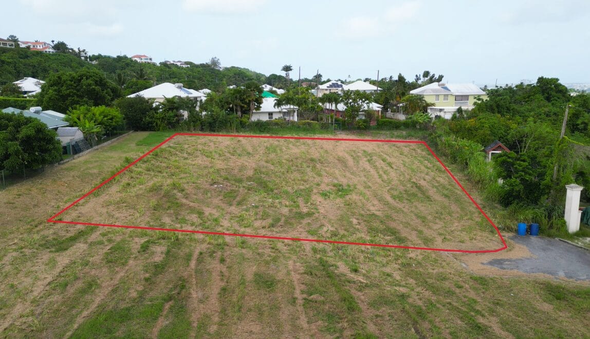 Screenshot 2024 08 09 151928 outline