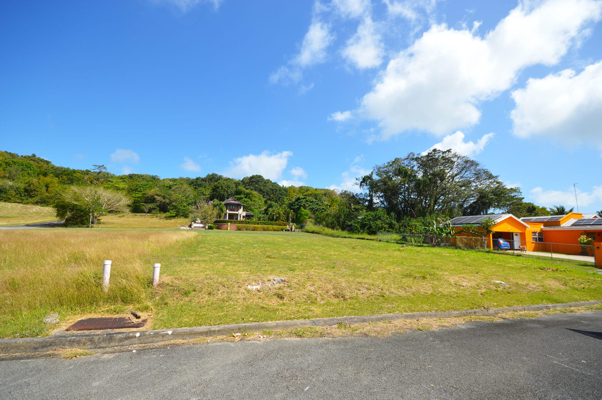 DSC 0707