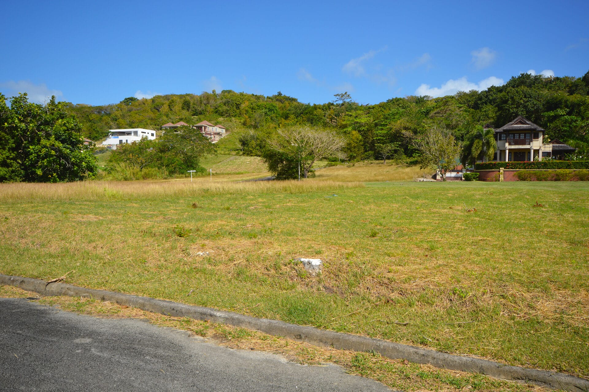 DSC 0711 1