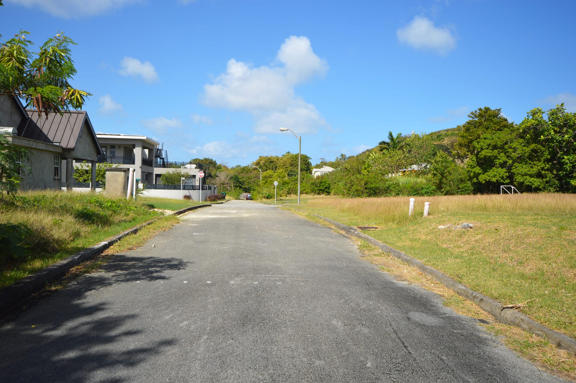 DSC 0712