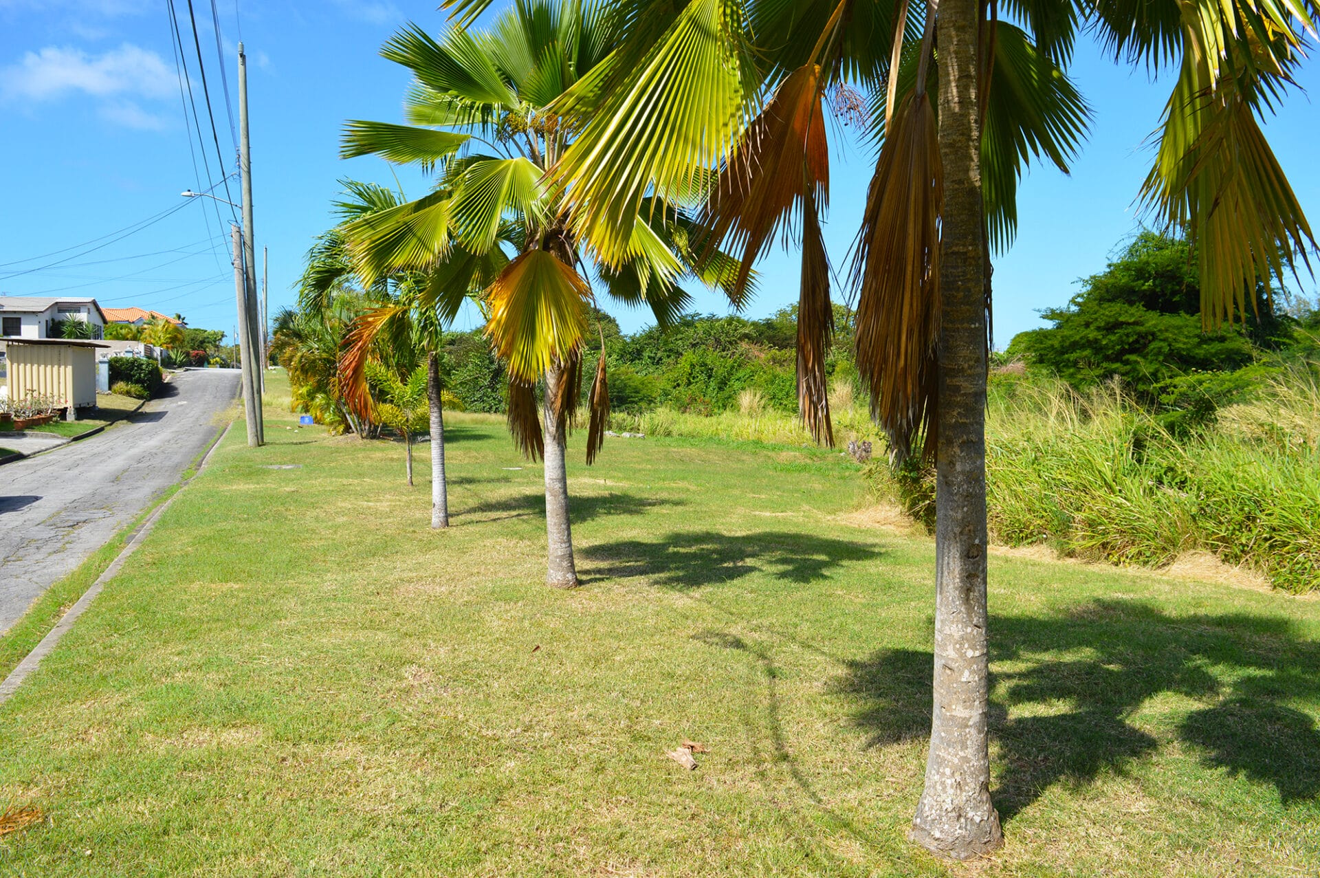 DSC 0727