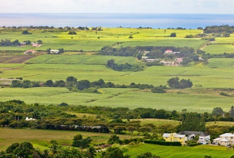 Location, Location, Perfection: How to Find the Best Spot for Your New Home