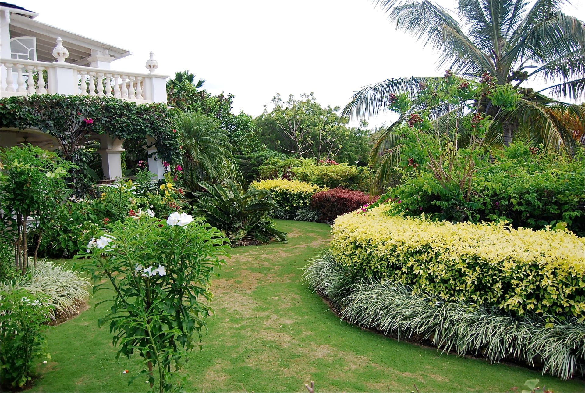 DSC 0083