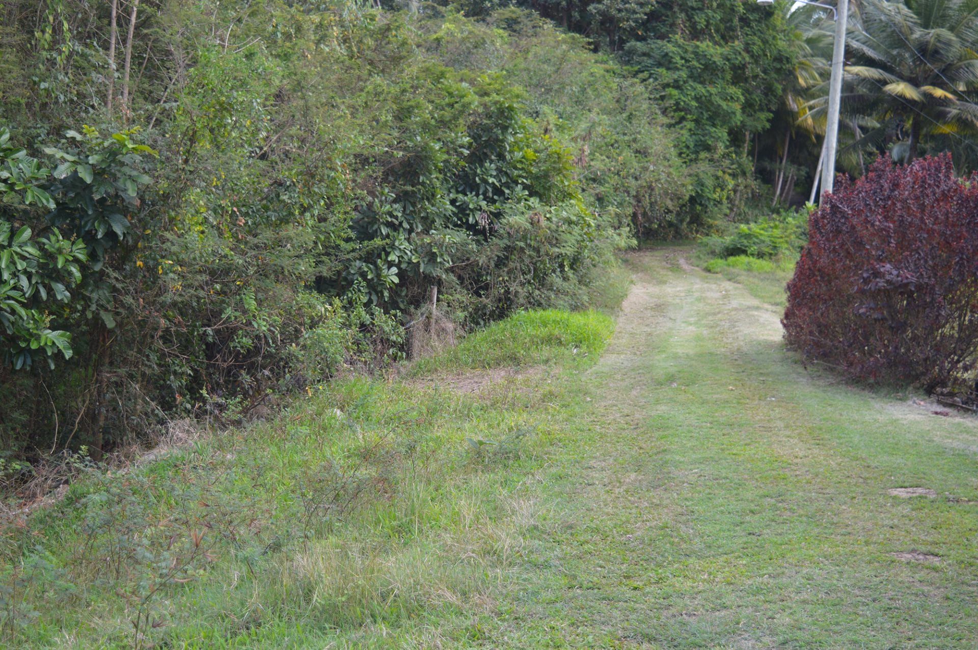 DSC 0717