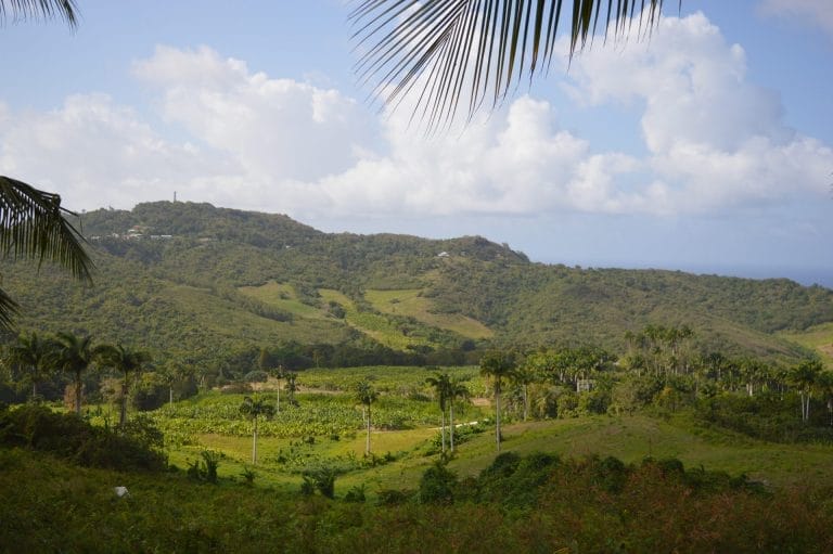 Vaughn’s Plantation