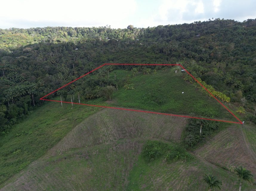 Photo Outline Vaughns