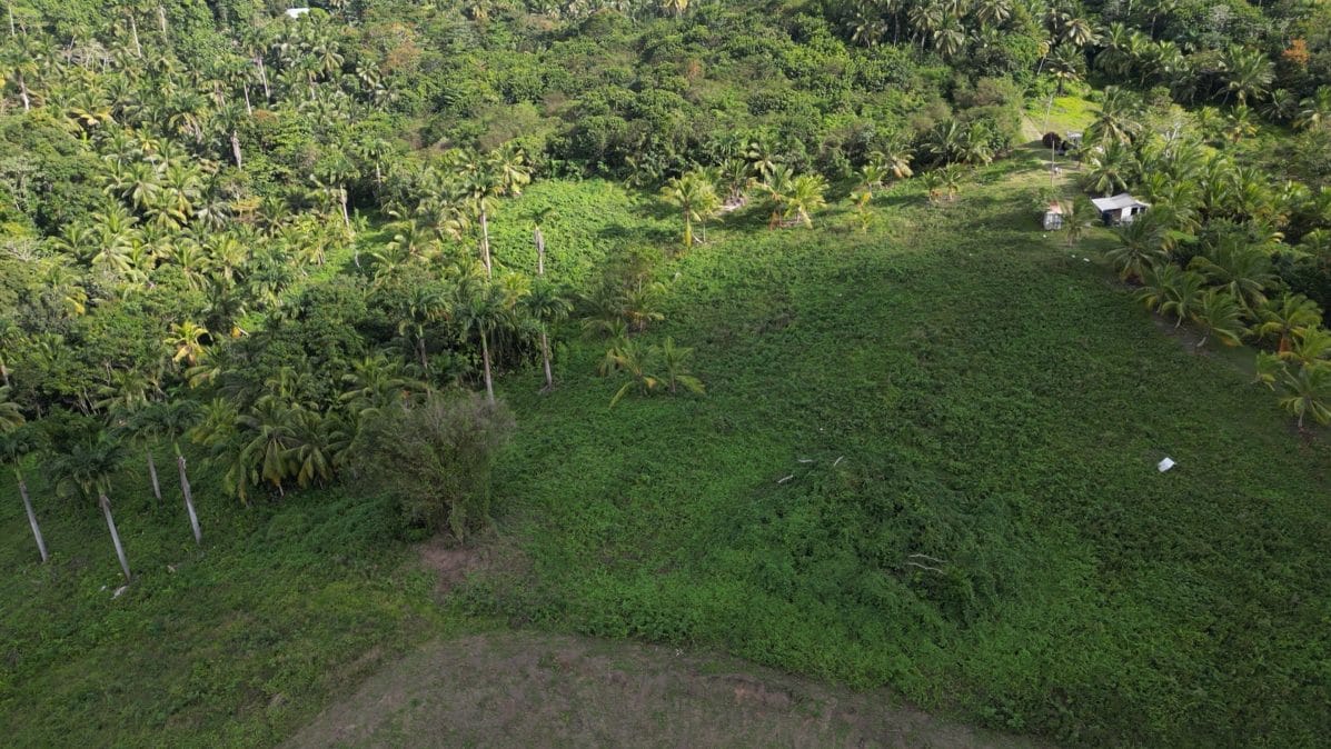 Screenshot 2025 04 08 162940