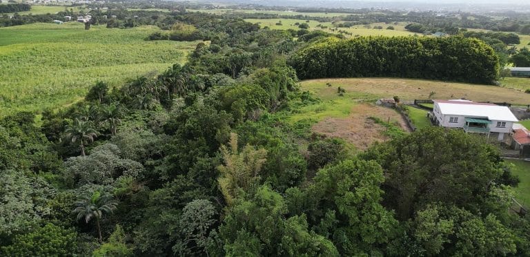 Clifton Plantation Lot 3