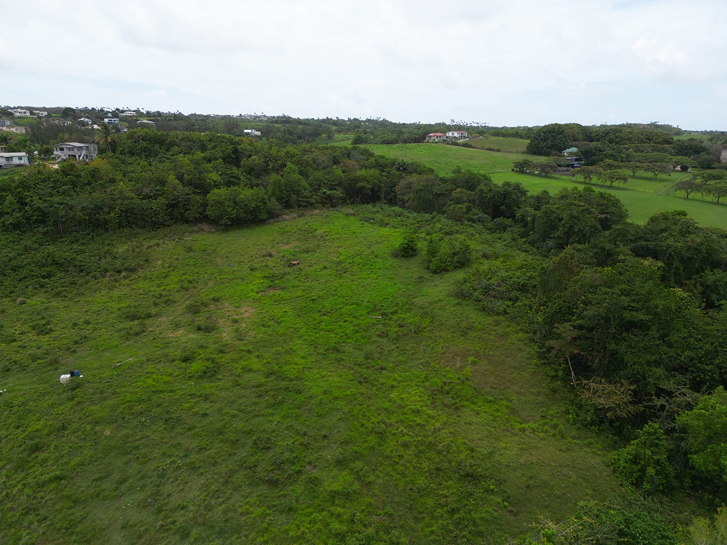 DJI 0425