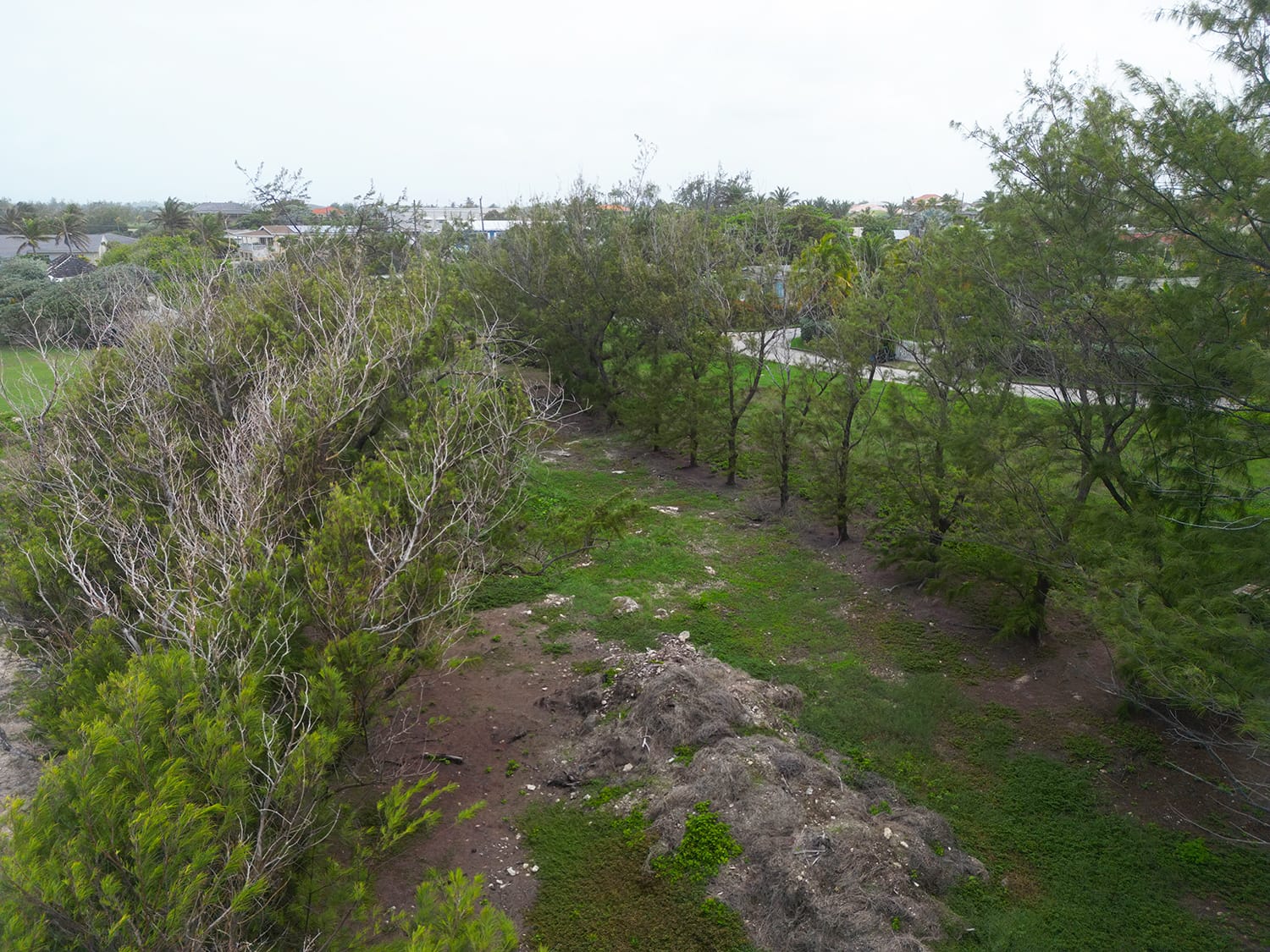 DJI 0461