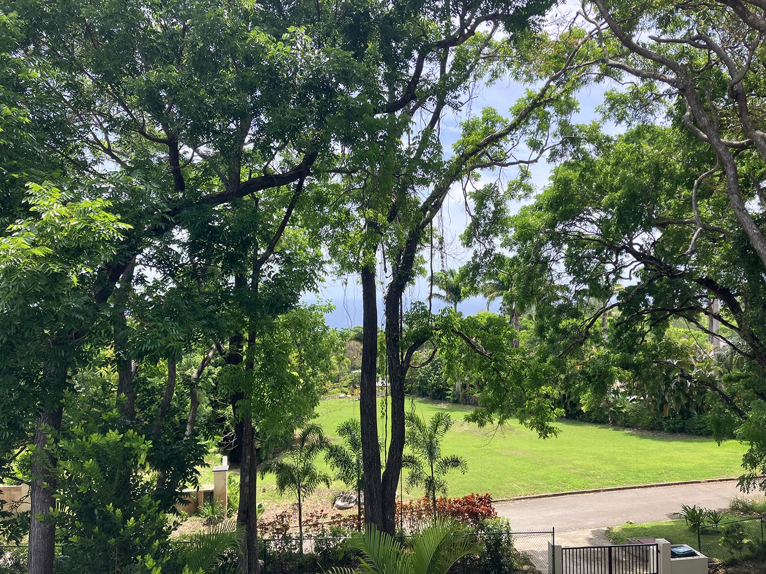 IMG 0269