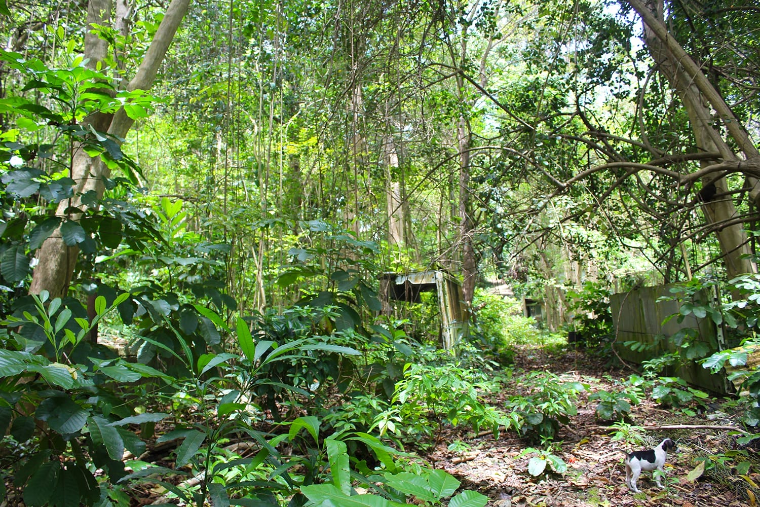 IMG 7481 1