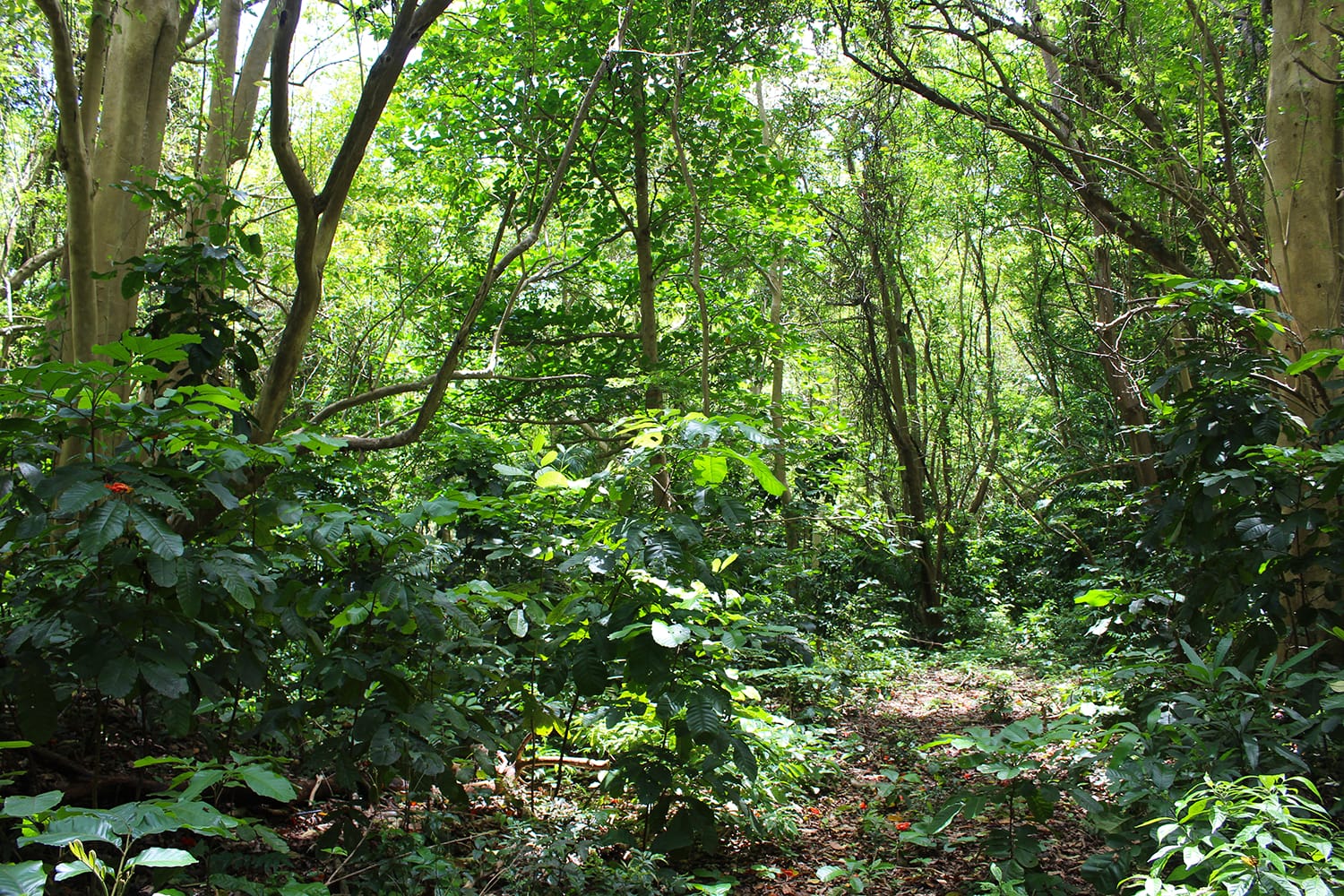 IMG 7485
