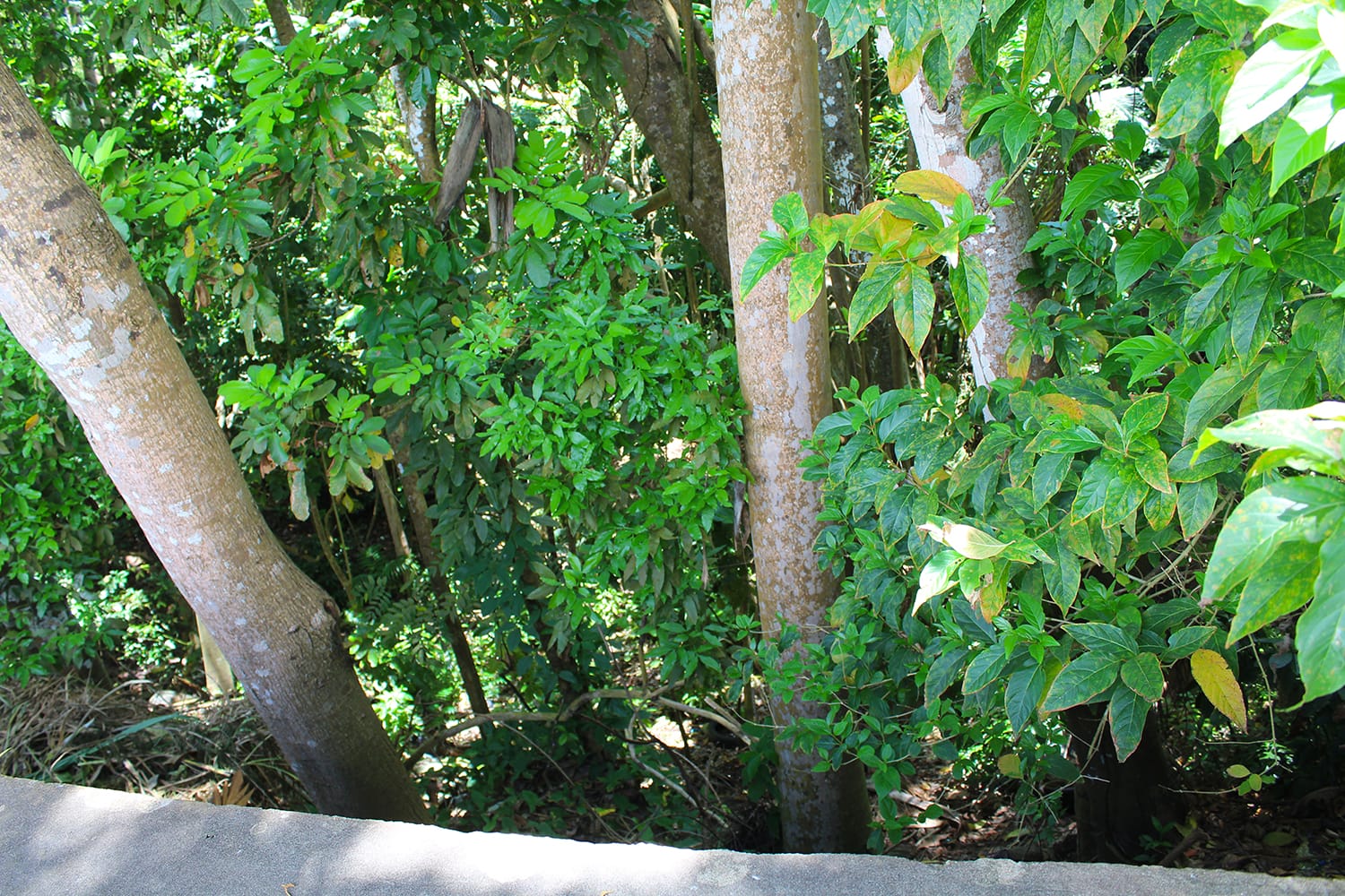 IMG 7496 1