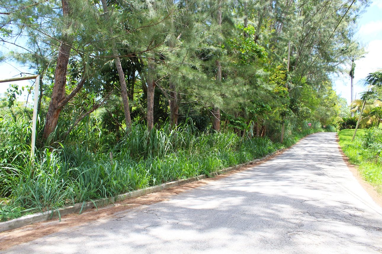 IMG 7498