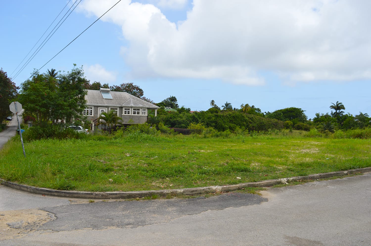 DSC 0710