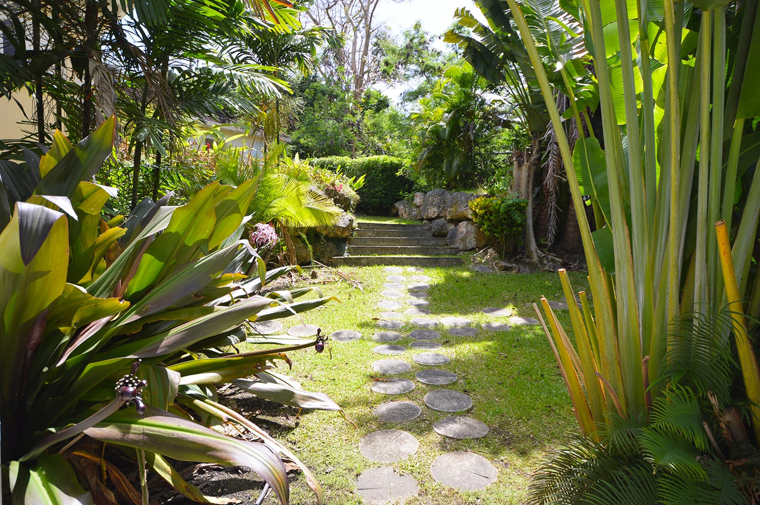 DSC 0784