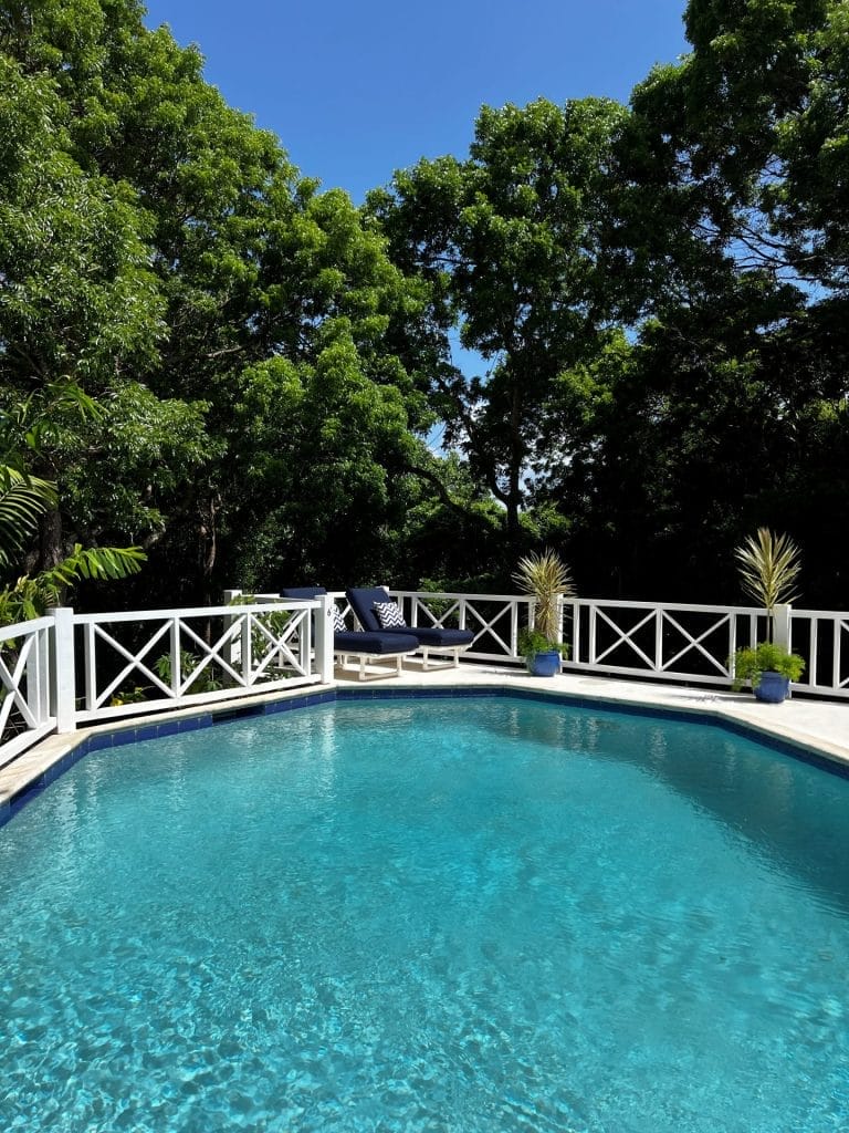 Pool view 15 July 2025 768x1024