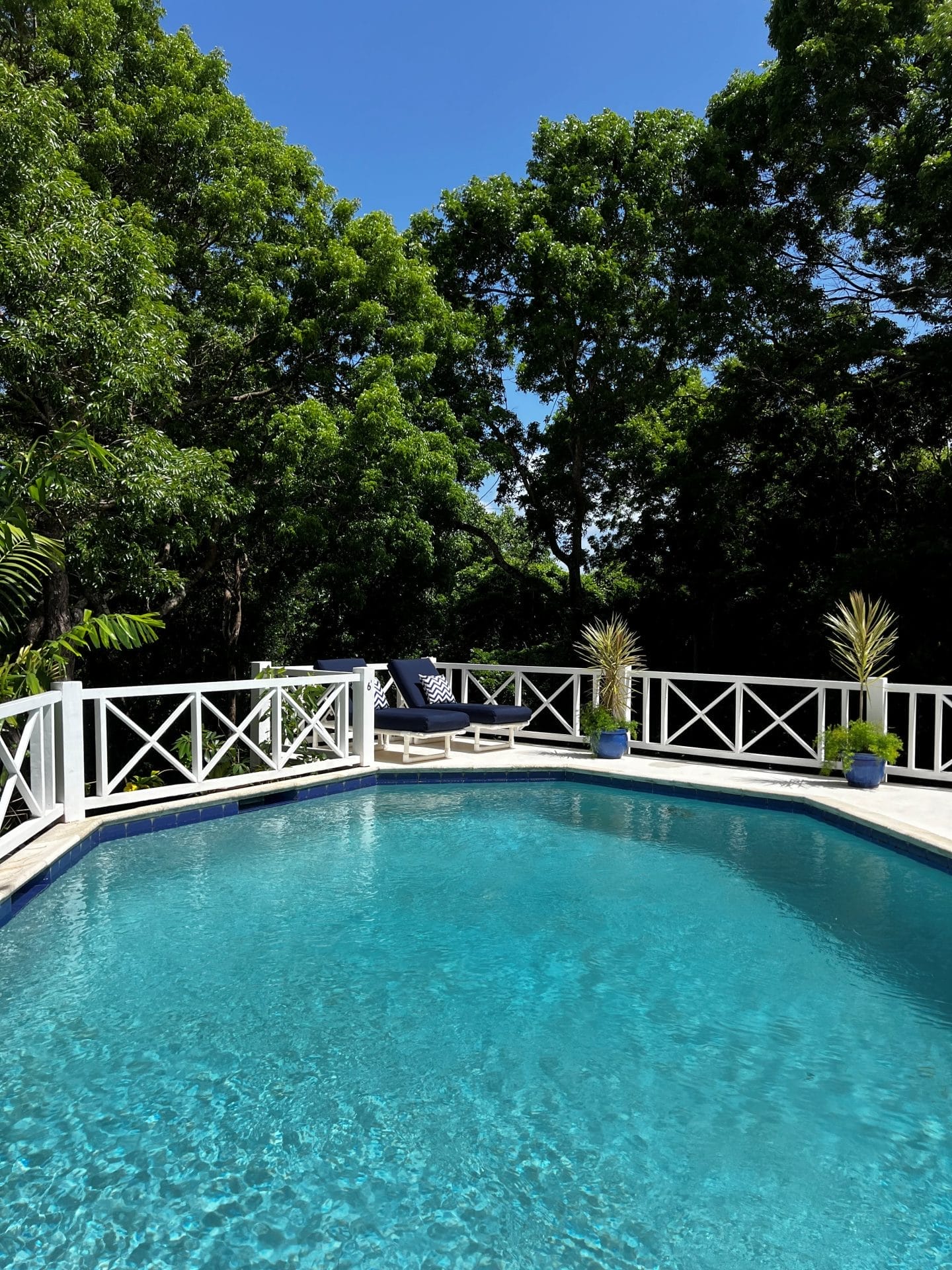 Pool view 15 July 2025
