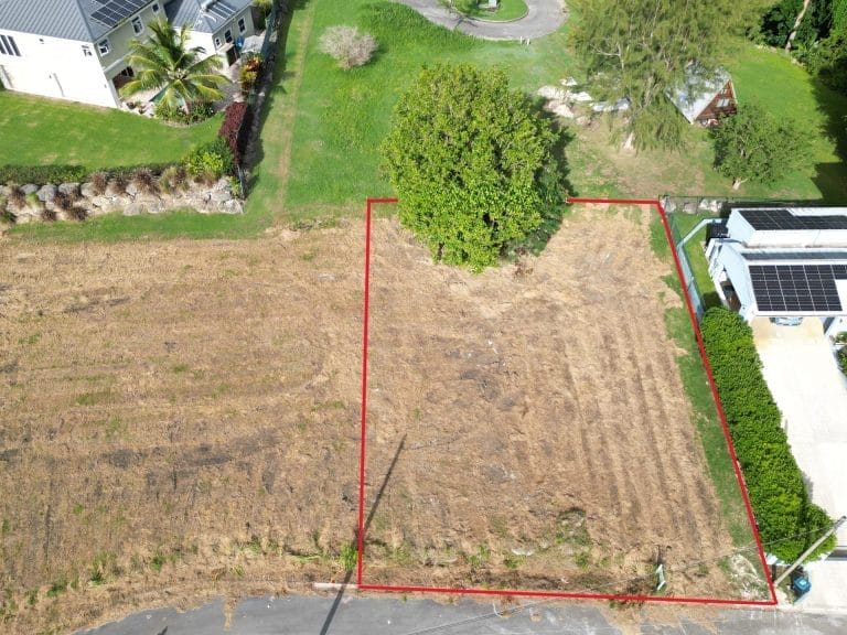 DJI 0598 outline 768x576