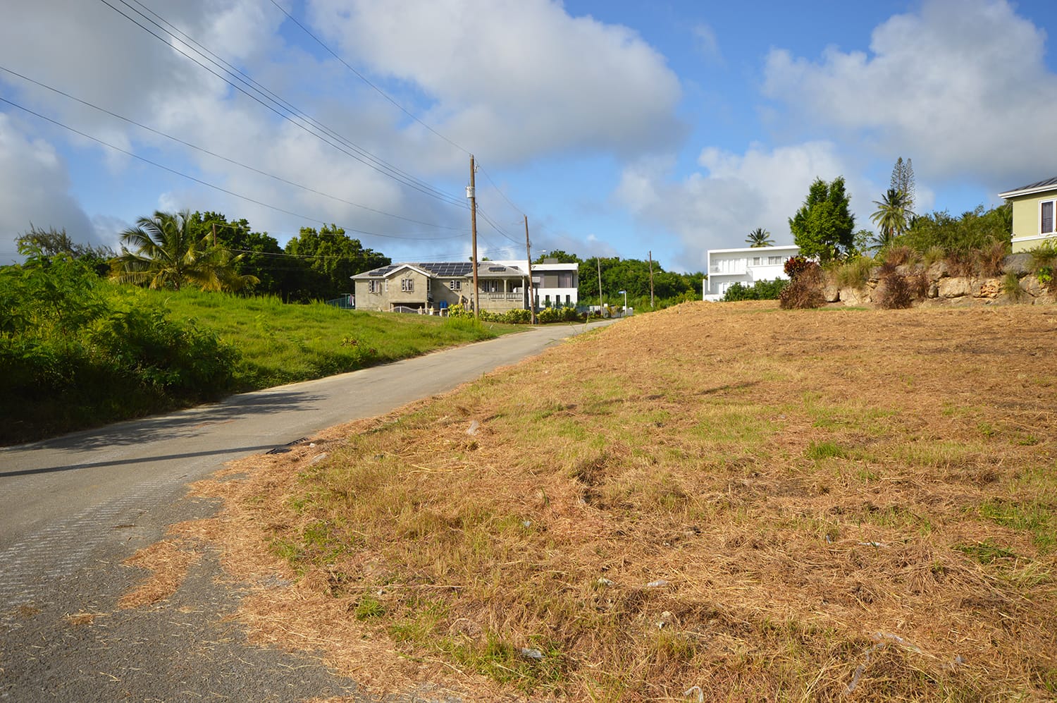 DSC 0716
