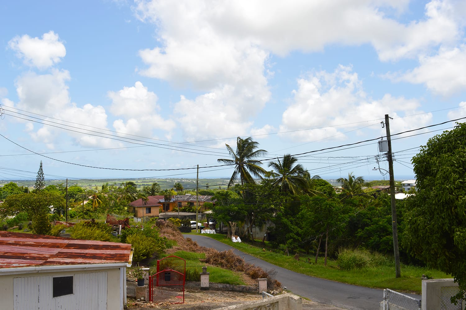 DSC 0770
