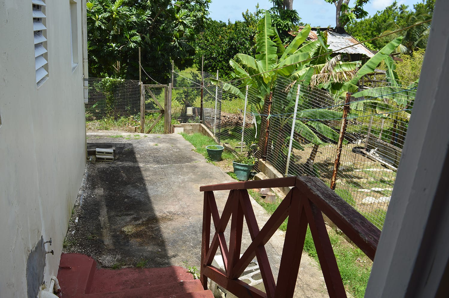 DSC 0877