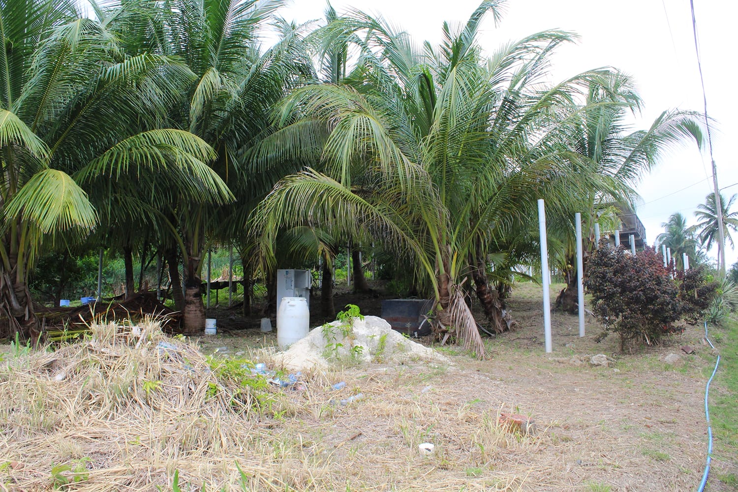 IMG 7956