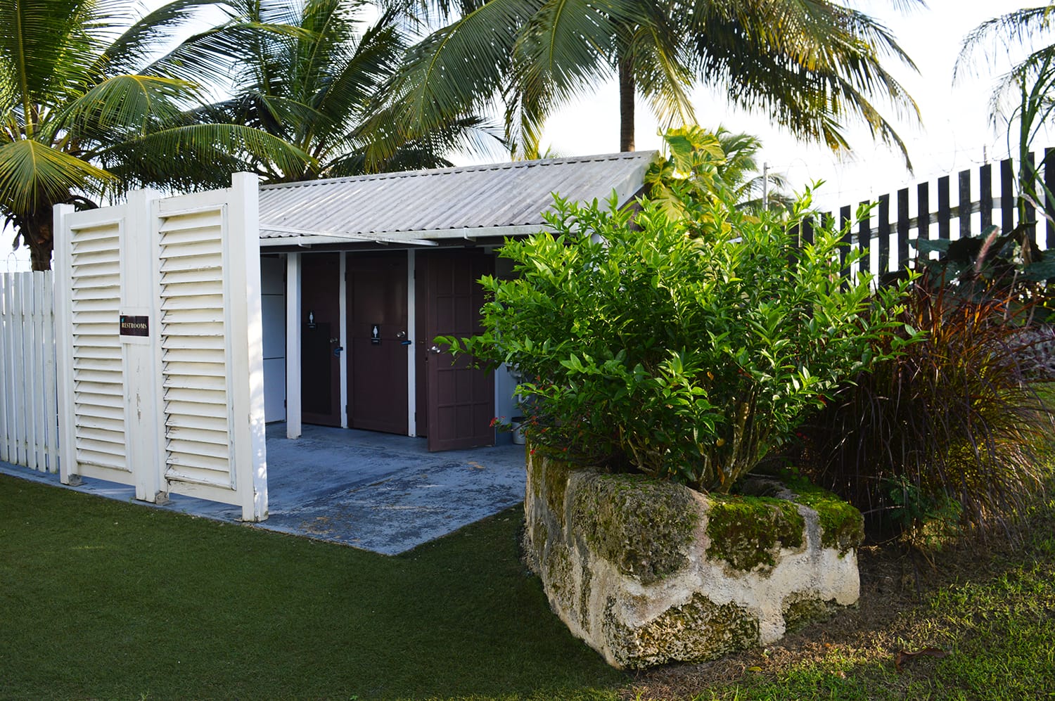 DSC 0718
