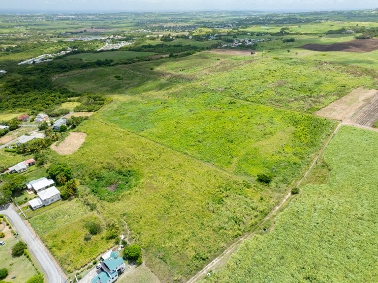 Mount Pleasant Estate, Mount Pleasant