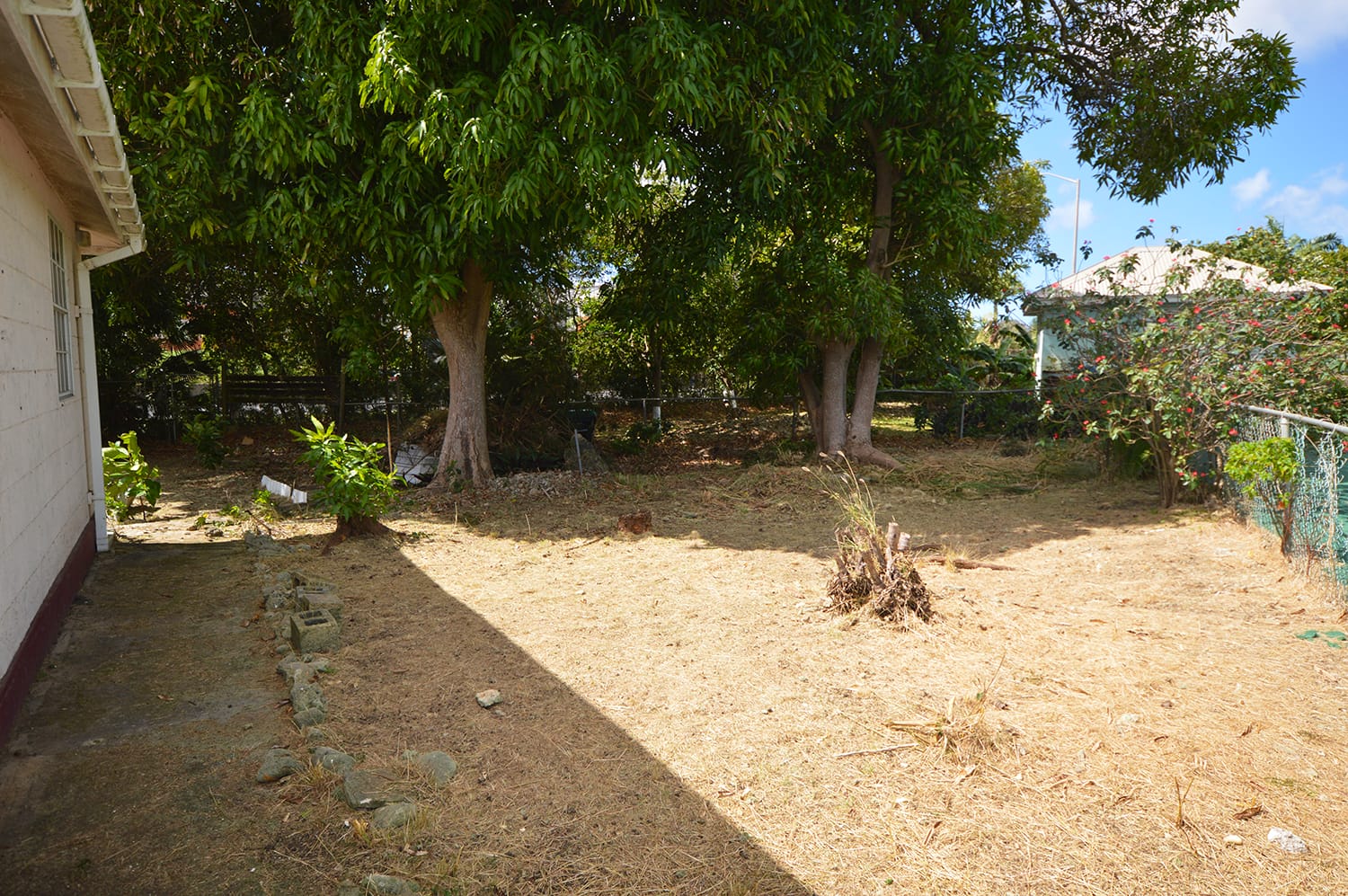 DSC 0411