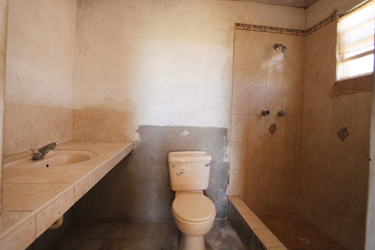 IMG 8019