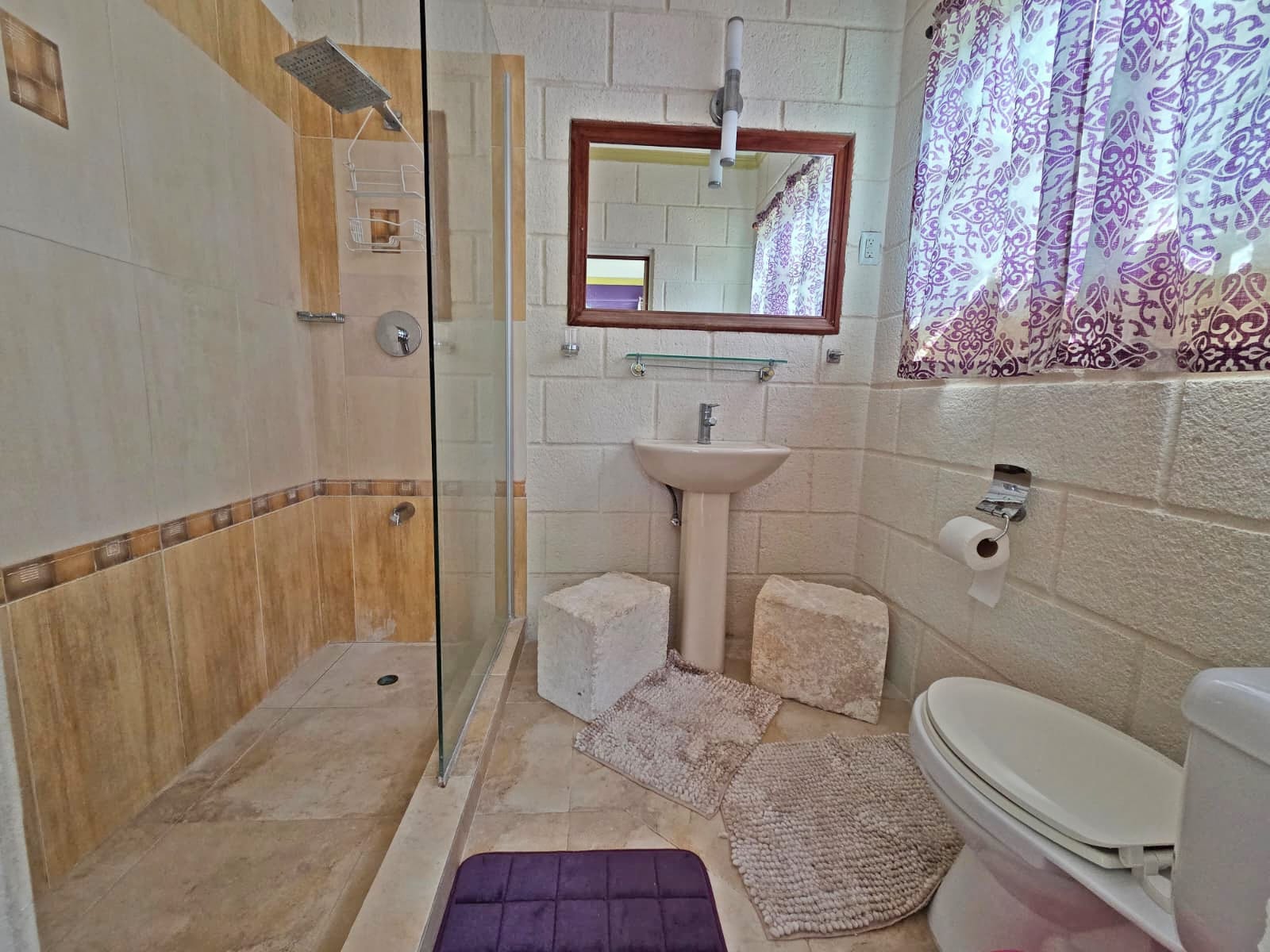 chr17