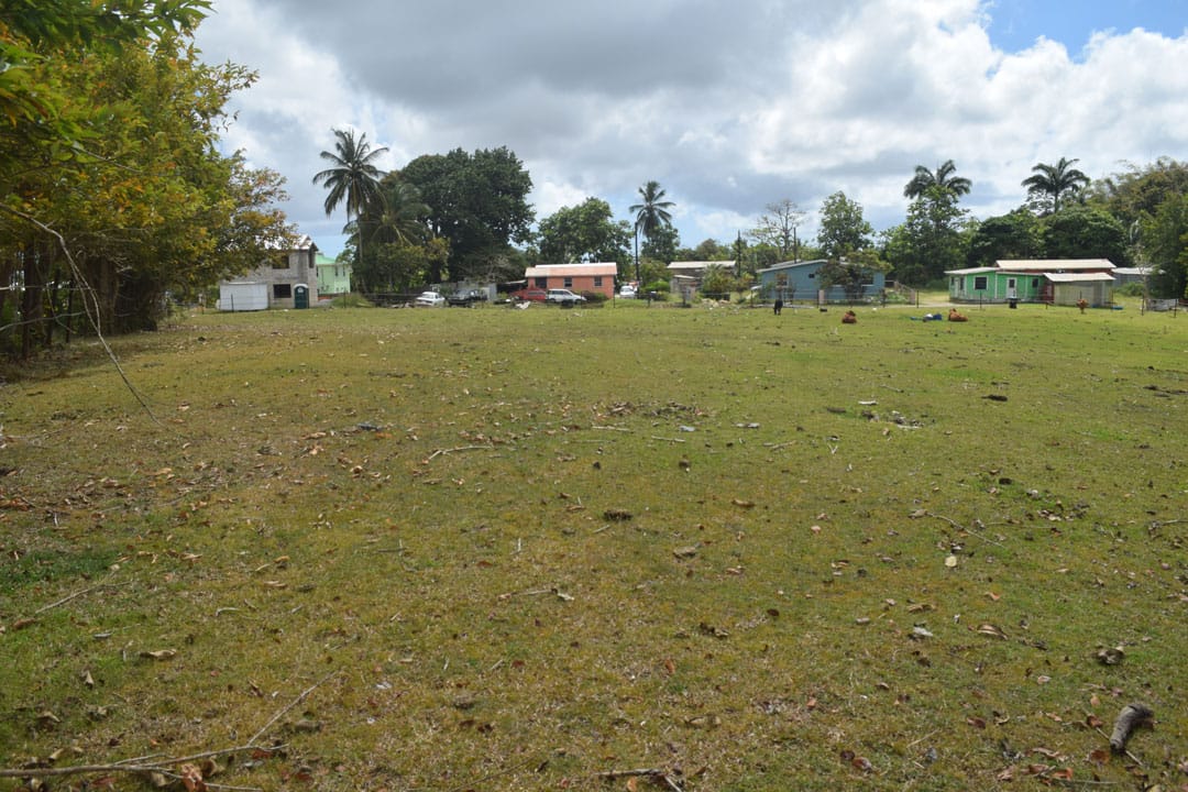 DSC 0705