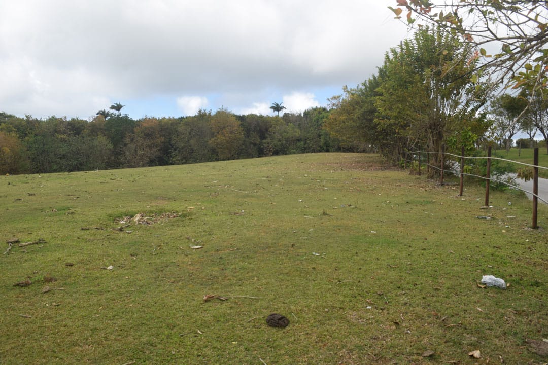 DSC 0709