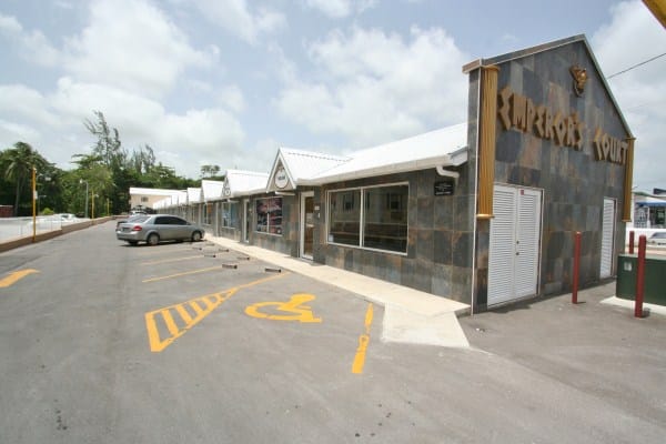 IMG 0678